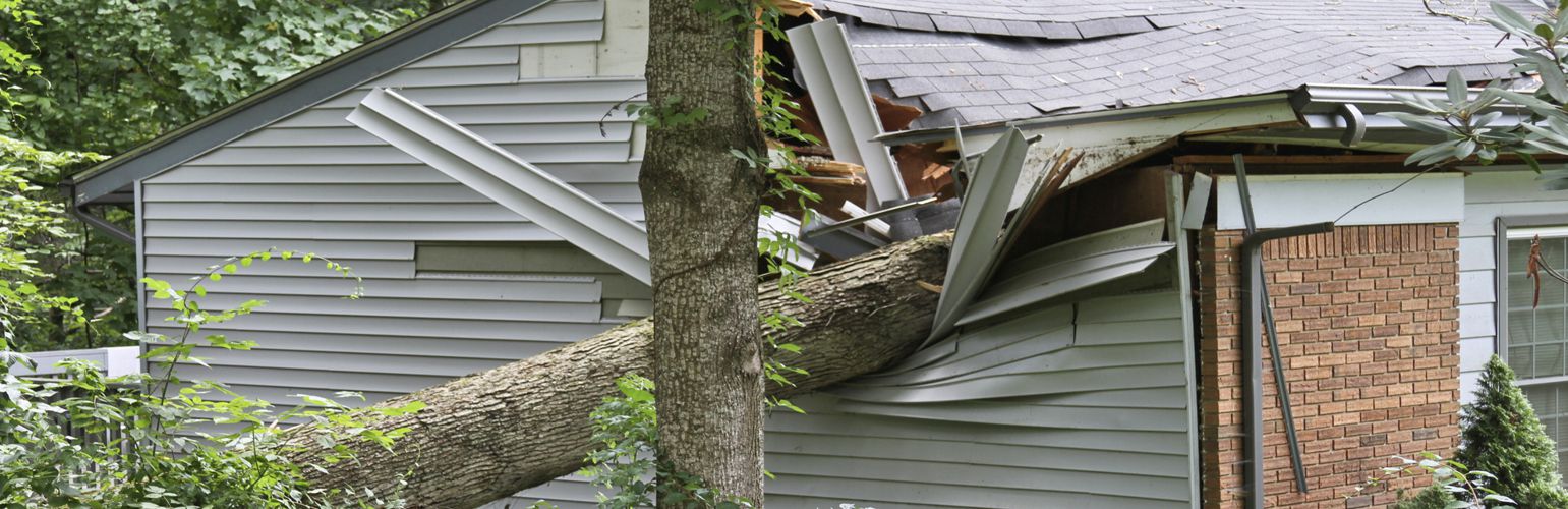 roof damage